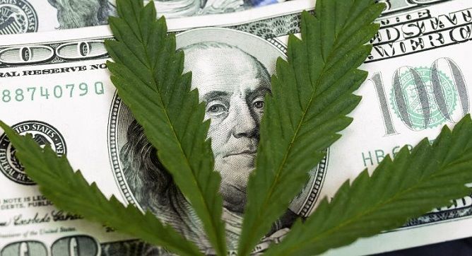 Cannabis Stocks