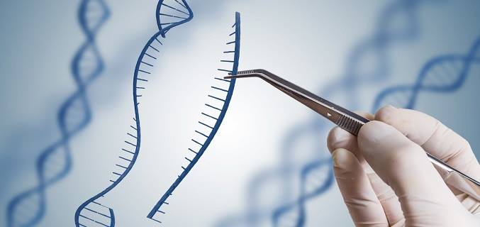 Gene Therapy