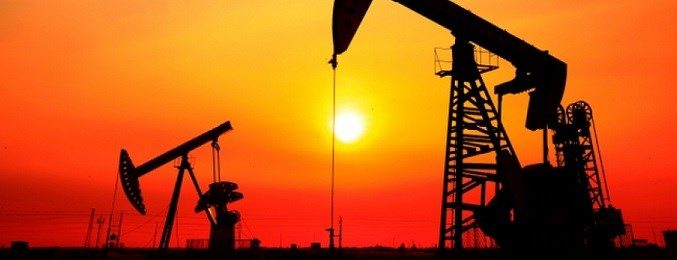 Oil