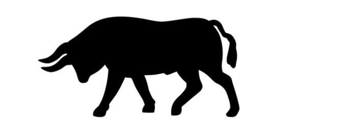 Bullish markets