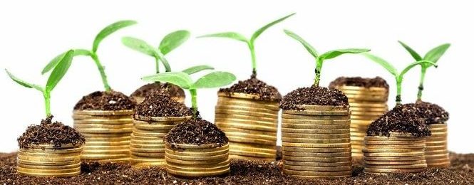 Investing