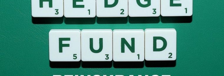Hedge Fund Reinsurance
