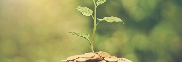 Socially Responsible Investing