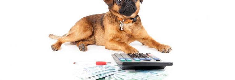 Dogs of the Dow
