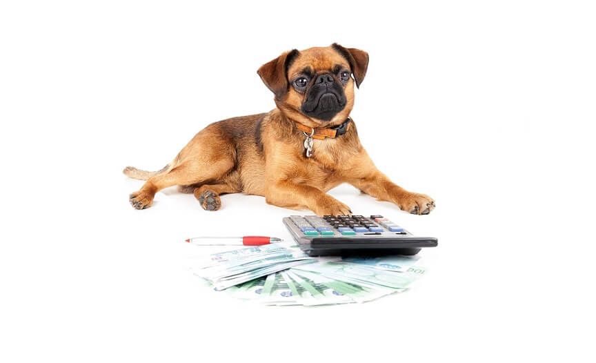 Dogs of the Dow
