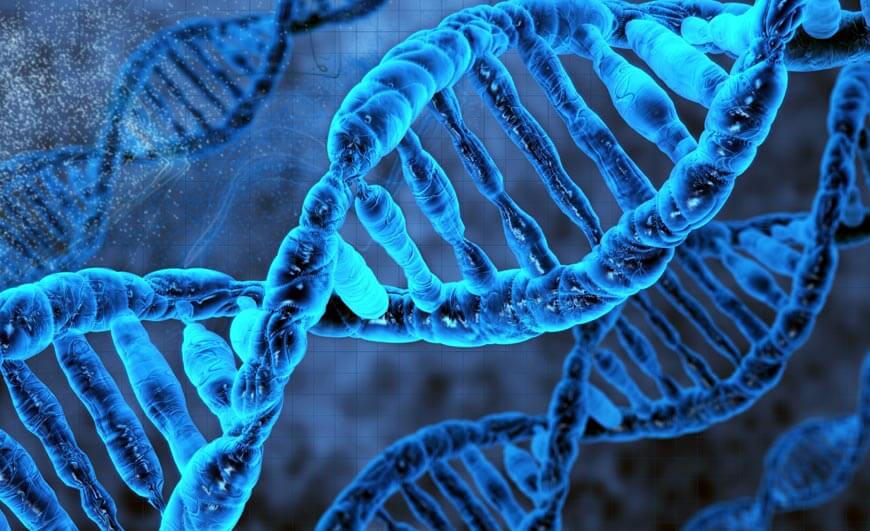 Biotech ETFs